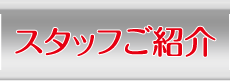 スタッフご紹介